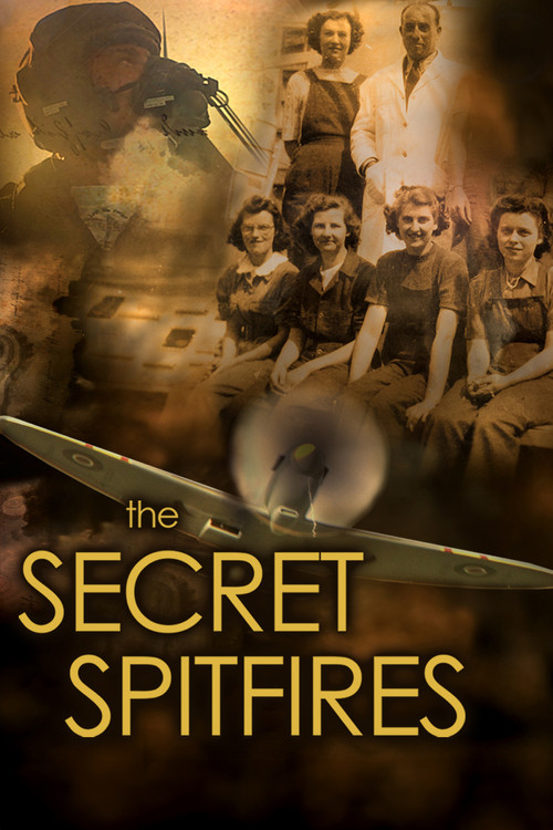 Movie poster for The Secret Spitfires (2017)