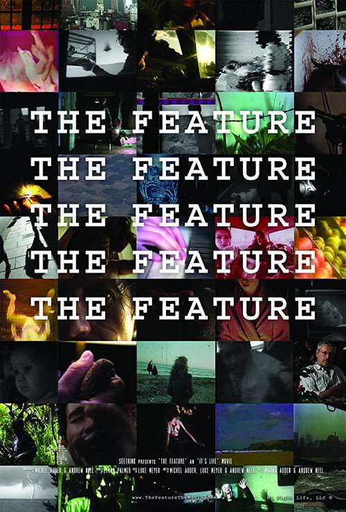 Movie poster for The Feature (2008)