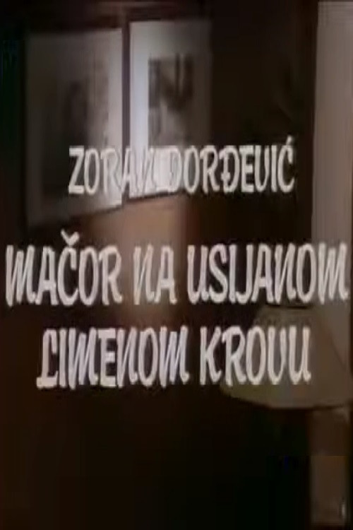 Tomcat on a Hot Tin Roof poster