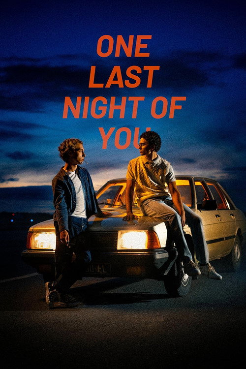 Movie poster for One Last Night of You (2024)