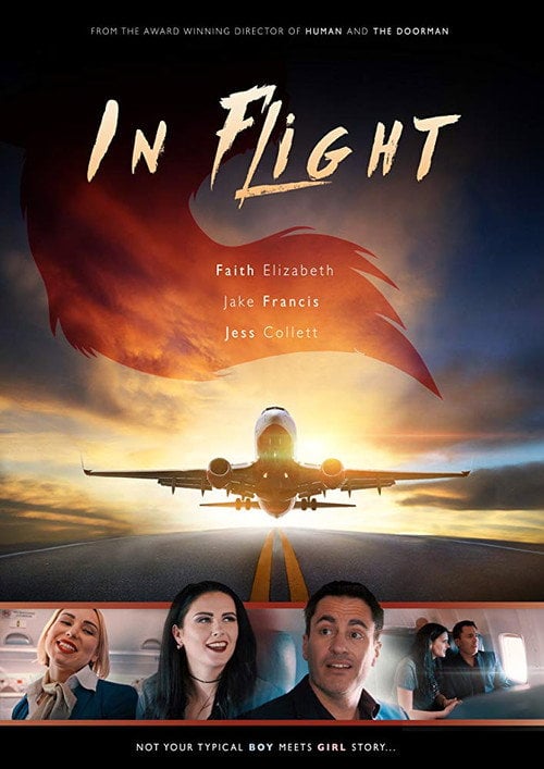 Movie poster for In Flight (2017)