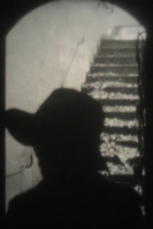 Movie poster for Endless Flâneuring (2018)