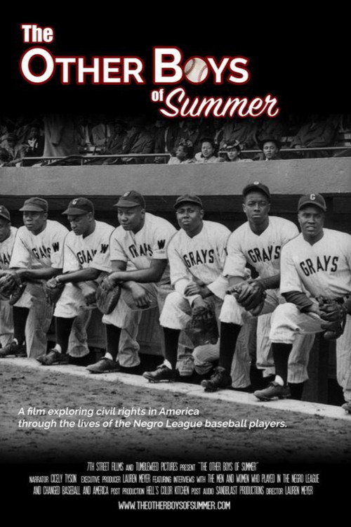 Movie poster for The Other Boys of Summer (2019)