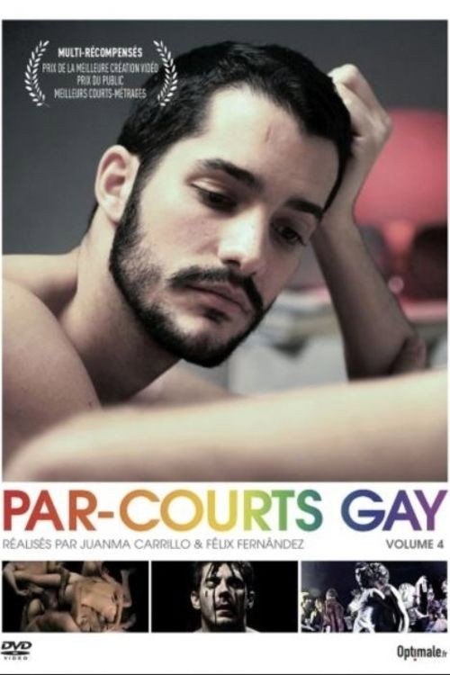 Movie poster for Par-courts Gay, Volume 4 (2015)