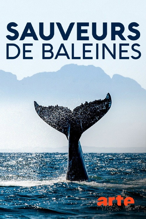 Movie poster for Island Heroes: The Whale Rescuers of Campobello Island (2020)