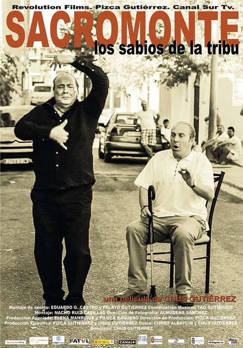Movie poster for Sacromonte, los sabios de la tribu (2014)