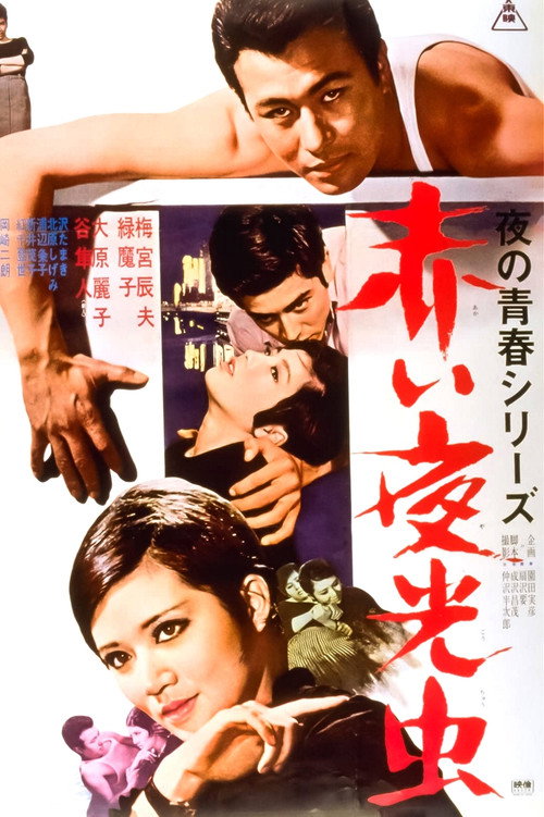 Movie poster for Nocturnal Lights (1966)