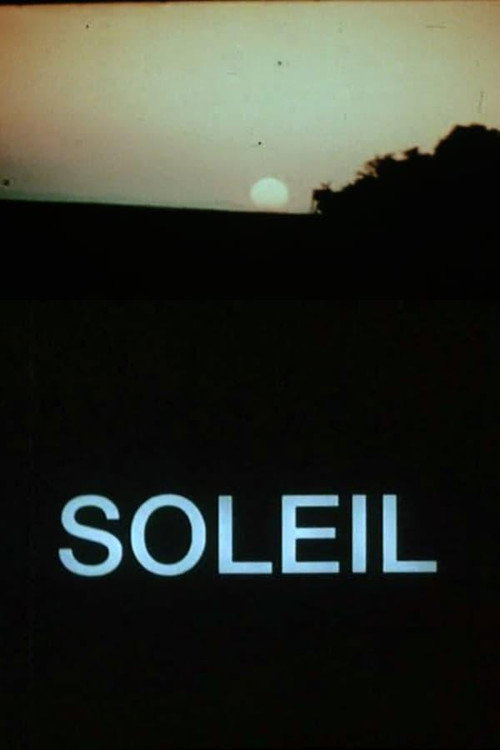Movie poster for The Sun (1988)