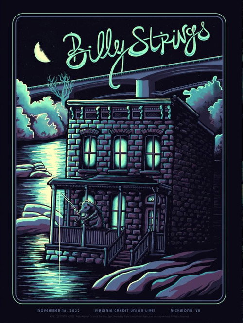 Movie poster for BIlly Strings | 2022.11.16 — Virginia Credit Union - Richmond, VA (2022)