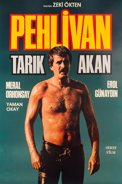 Movie poster for The Wrestler (1984)