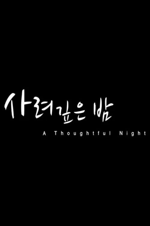 Movie poster for A Thoughtful Night (2013)