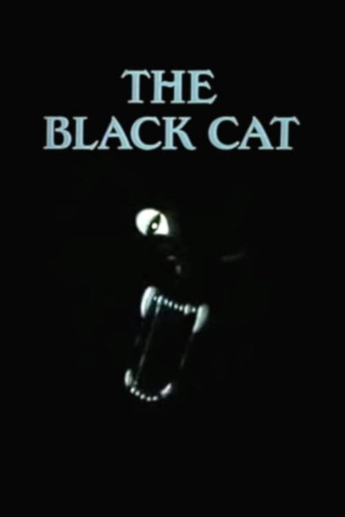 Movie poster for The Black Cat (1995)