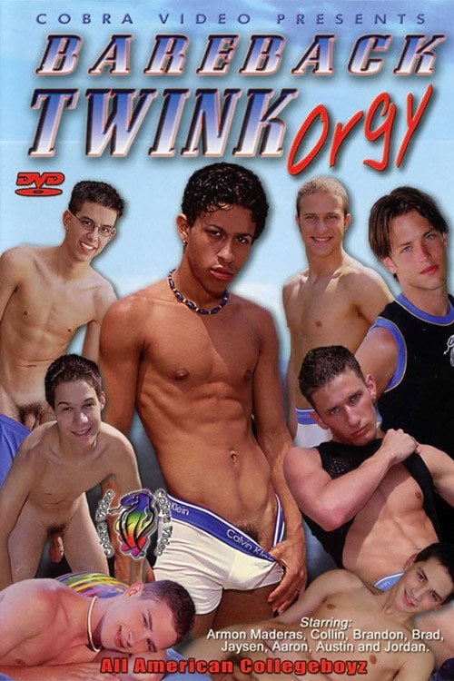 Movie poster for Bareback Twink Orgy (2002)
