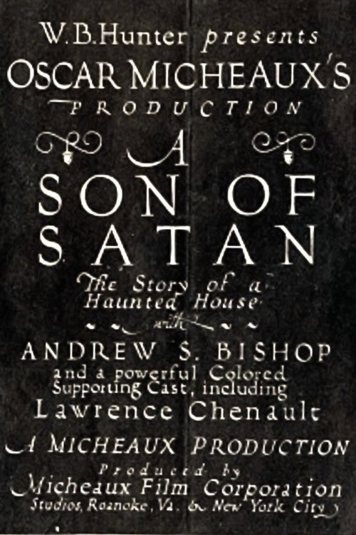 Movie poster for A Son of Satan (1924)