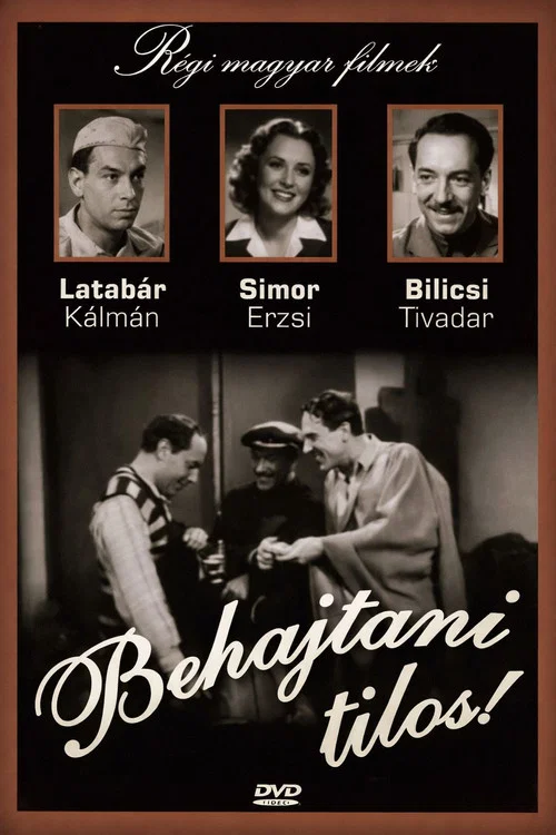 Movie poster for No Entry (1941)