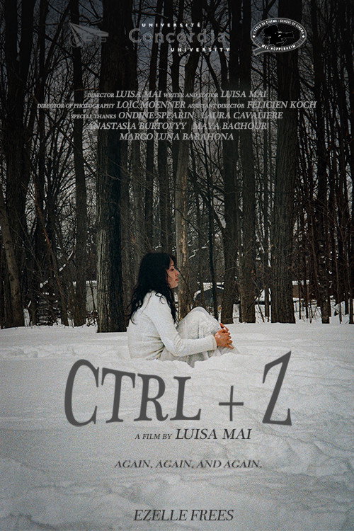 Movie poster for CTRL+Z