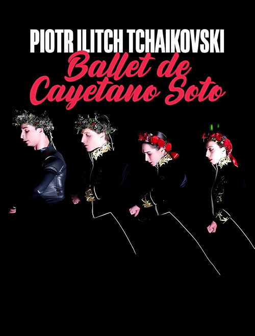 Movie poster for Peter I. Tschaikowski: Ballett von Cayetano Soto aus der Leipziger Oper (2024)