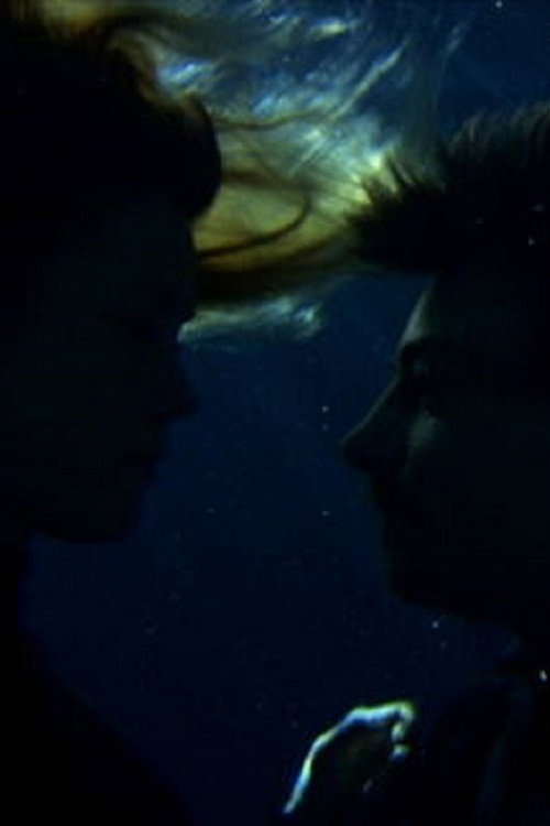 Movie poster for Heart to Heart (2010)