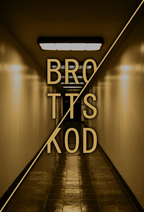 Series poster for Brottskod (2013)