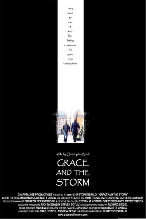 Movie poster for Grace And The Storm (2004)