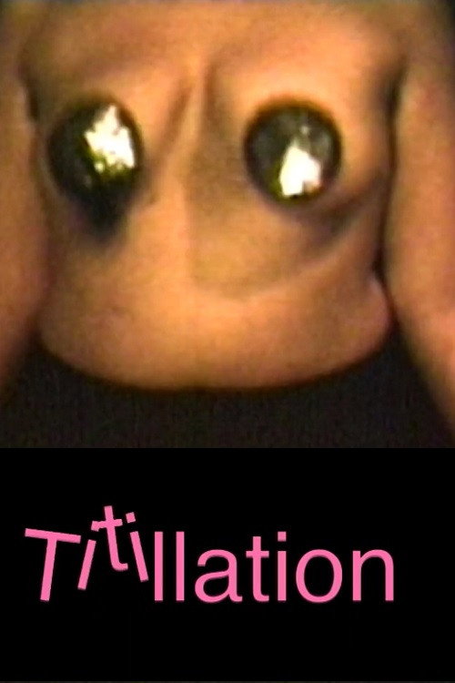 Movie poster for Titillation (2003)