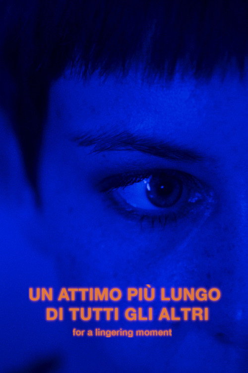 Movie poster for for a lingering moment