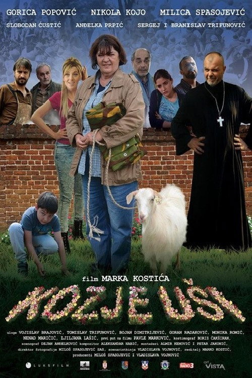 Movie poster for Out of the Woods (2017)