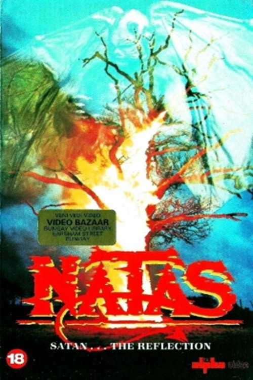 Movie poster for Natas: The Reflection (1986)