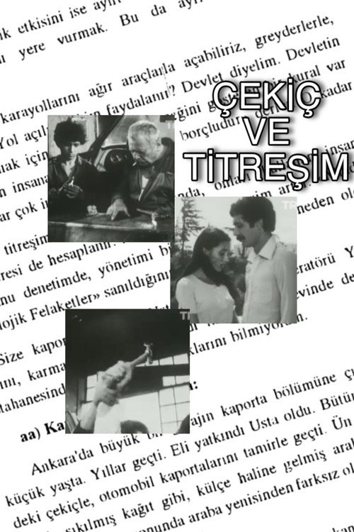 Movie poster for Çekiç ve Titreşim (1979)