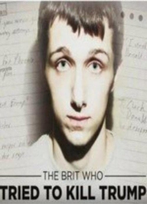 Movie poster for The Brit Who Tried to Kill Trump (2017)