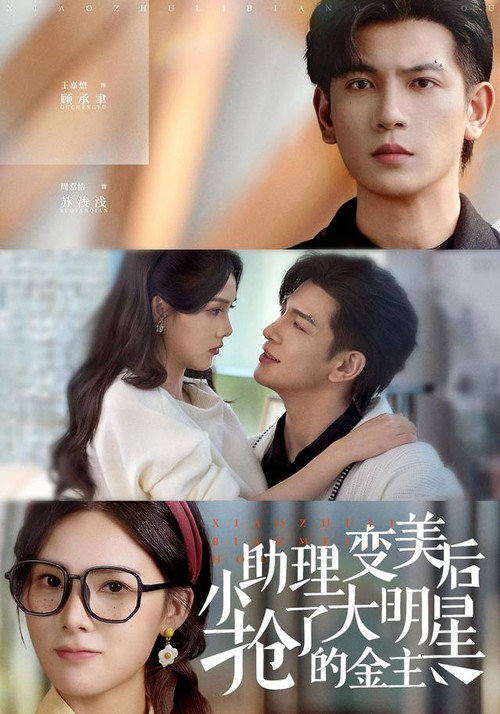 小助理变美后，抢了大明星的金主 poster