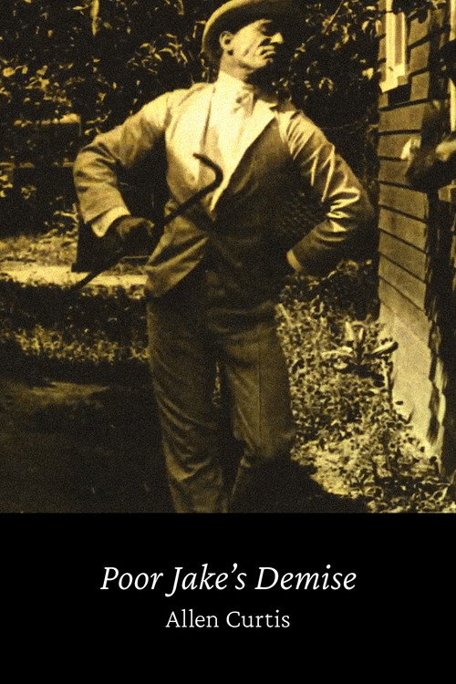 Movie poster for Poor Jake's Demise (1913)