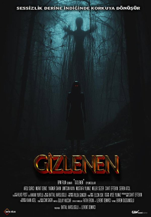 Movie poster for Gizlenen (2024)