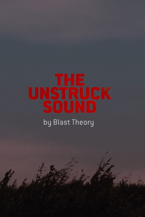 Movie poster for The Unstruck Sound (2024)