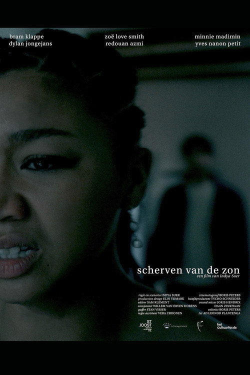 Movie poster for Scherven van de Zon (2024)
