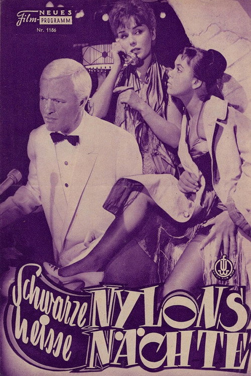 Movie poster for Schwarze Nylons – Heiße Nächte (1958)