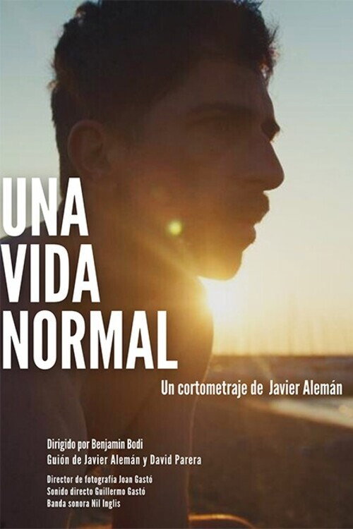 Movie poster for Una vida normal (2024)