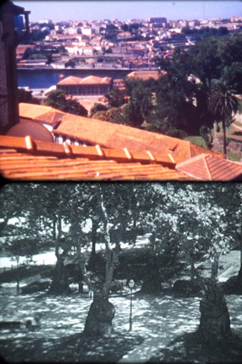 Movie poster for Porto Landscape (2019)