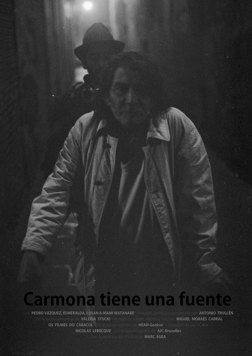 Movie poster for Carmona tiene una fuente (2015)