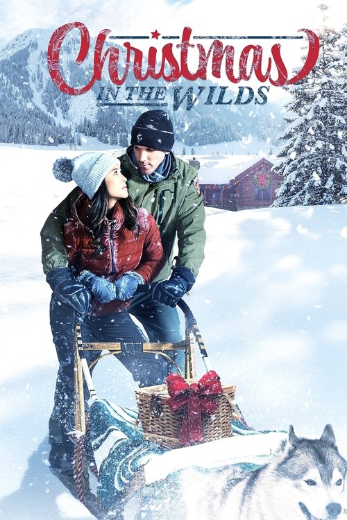 Movie poster for Christmas in the Wilds (2021)