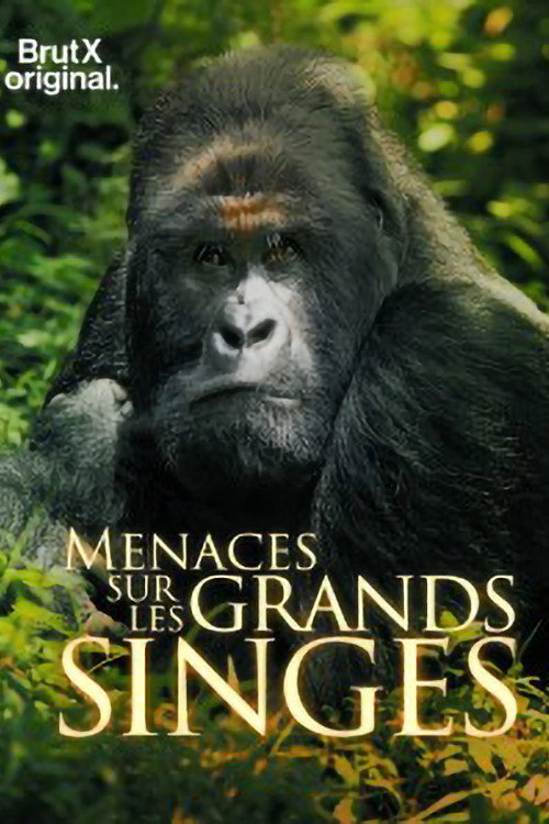 Movie poster for En danger : menaces sur les grands singes (2021)