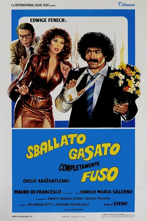 Movie poster for An Ideal Adventure (1982)