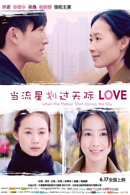 Movie poster for 当流星划过天际 (2016)