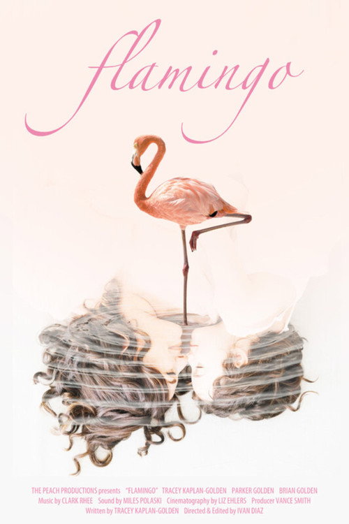 Movie poster for Flamingo