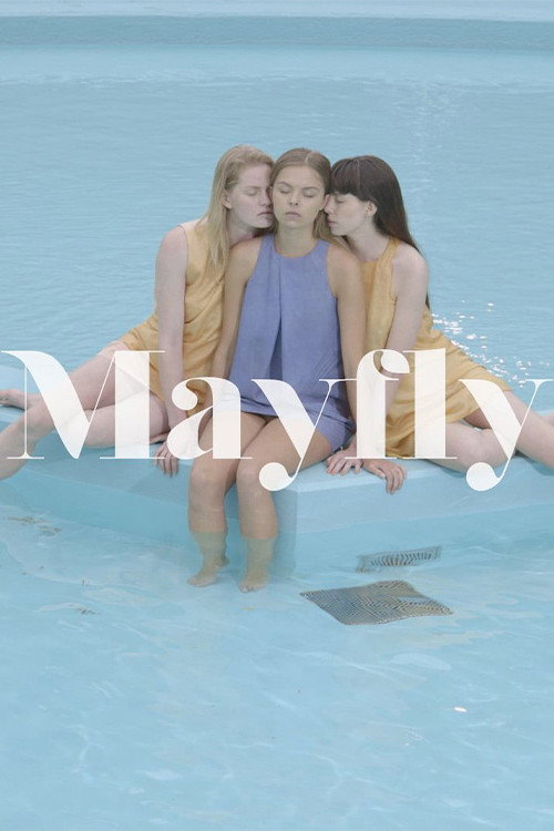 Movie poster for Mayfly (2016)