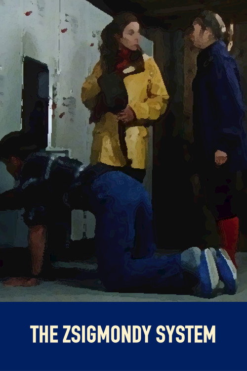Movie poster for The Zsigmondy System (2000)