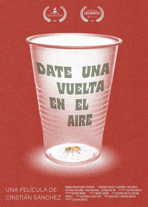 Movie poster for Take a Spin in the Air (2020)