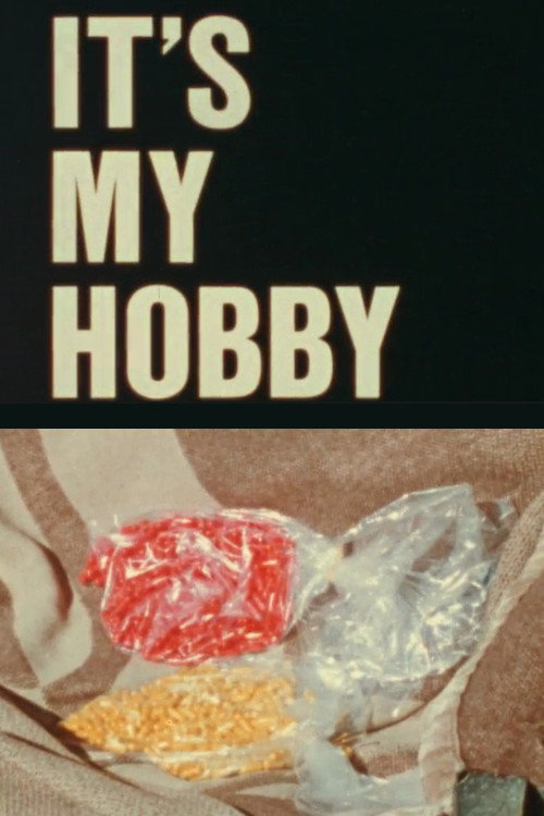 Movie poster for It's My Hobby (1974)