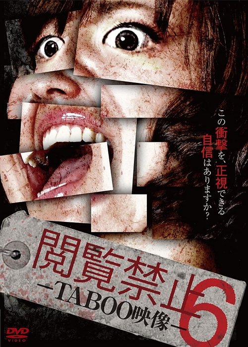 Movie poster for Viewing Prohibited 6 TABOO Video (2015)