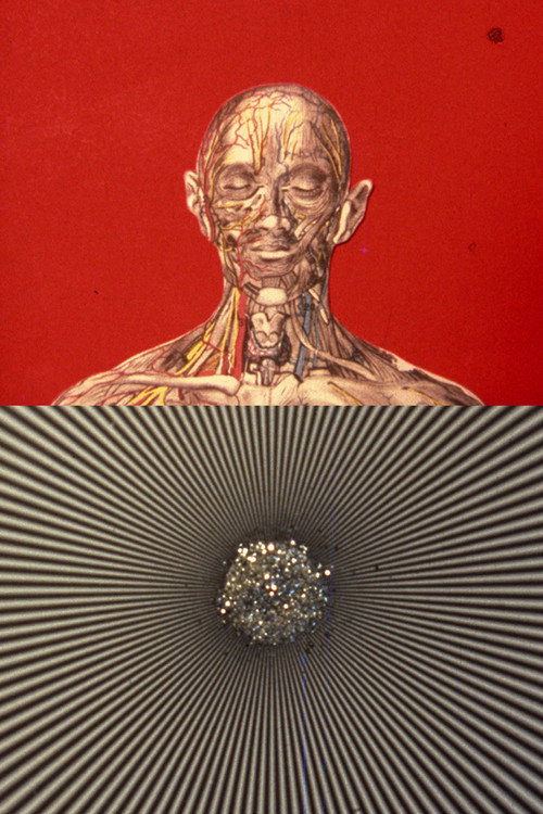Movie poster for El mensaje es facial (1976)